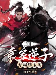 三国:袁家逆子,开局摔玉玺