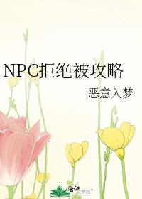 NPC拒绝被攻略小说全文免费阅读