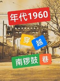 年代1960:穿越南锣鼓巷,小说