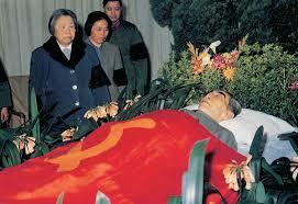 四合院：贾张氏！你敢打我姐？