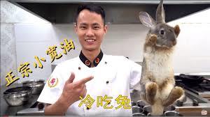 渔猎83，从听到动物心声开始